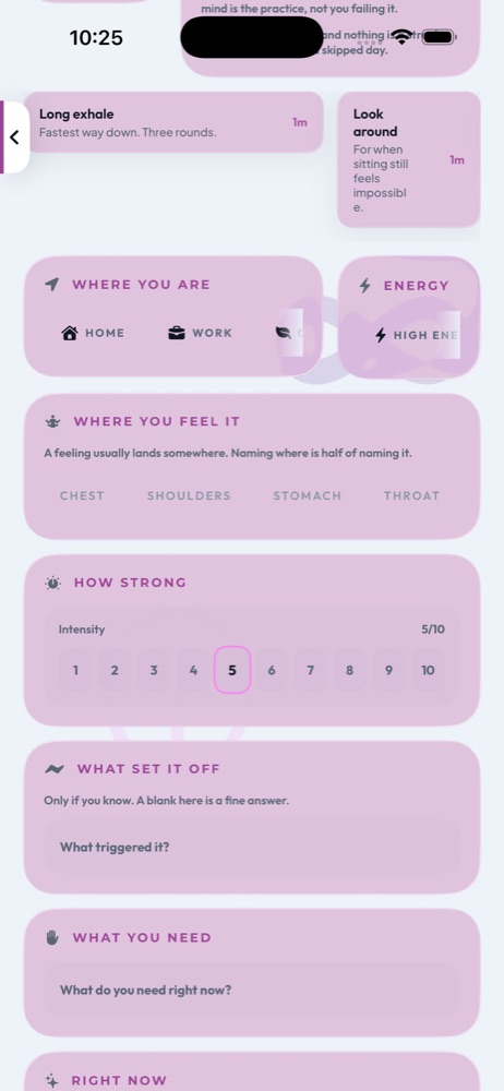 Aethyr Mind Body Soul — feeling captured, body context, intensity slider